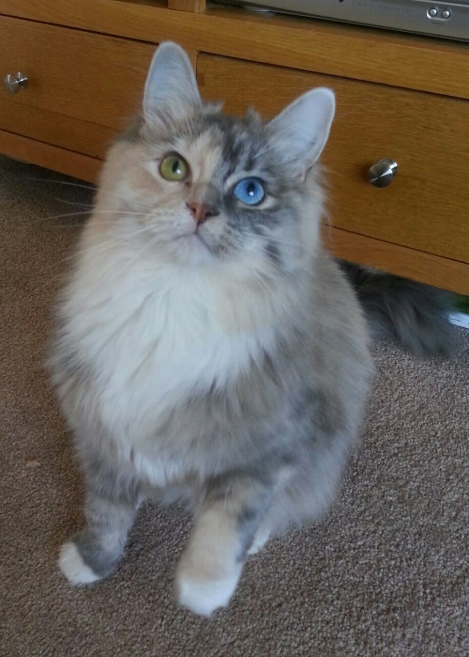 CBA年轻球员表现超预期 教练组给予高度评价，cba最年轻出场记录