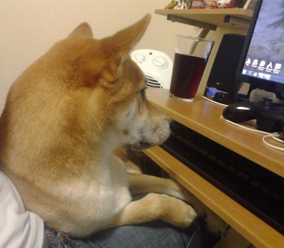 国际乒联混合团体世界杯2024赛制最新动向，国际乒联 世界杯