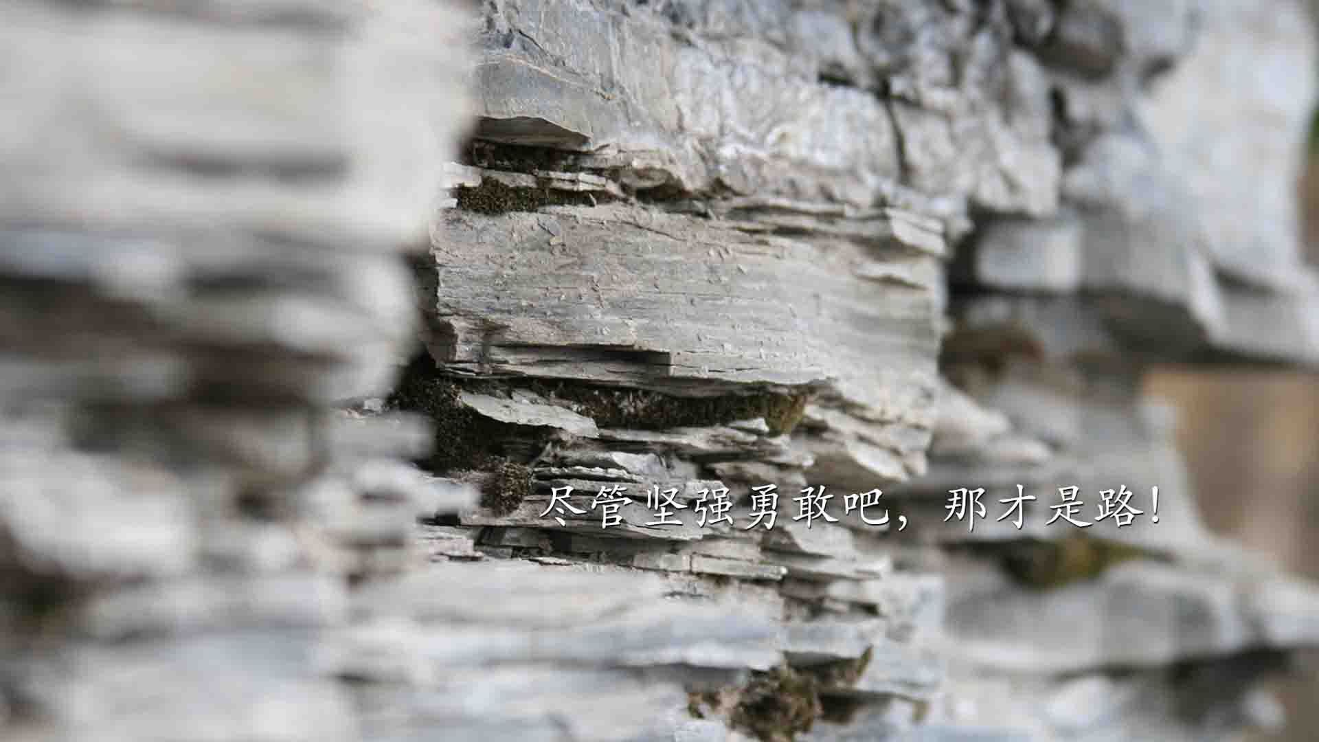 世界杯比赛中的VAR争议案例，世界杯预选赛var